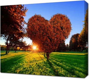 Дерево формы сердца с красными листьями