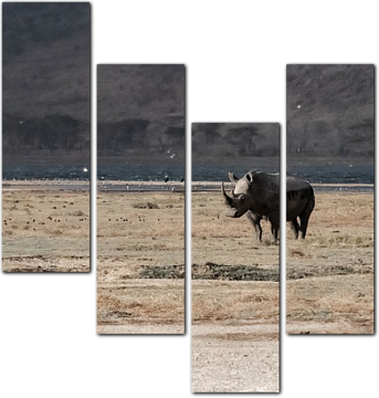 Одинокий носорог в саванне