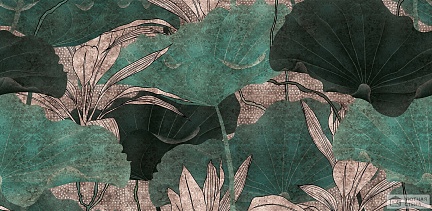 Прохладные тени листьев лотоса