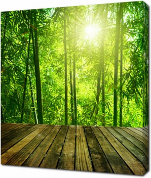 Азиатский бамбуковый лес