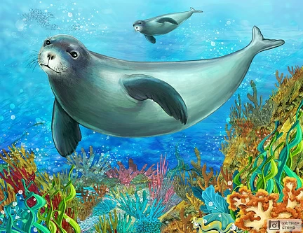 Морской котик над коралловым рифом