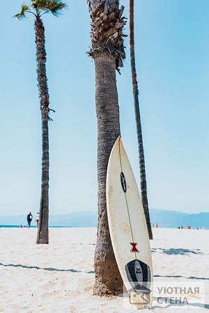 Доска для серфинга у пальмы