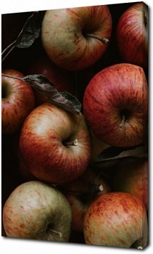 Сочный плод яблони