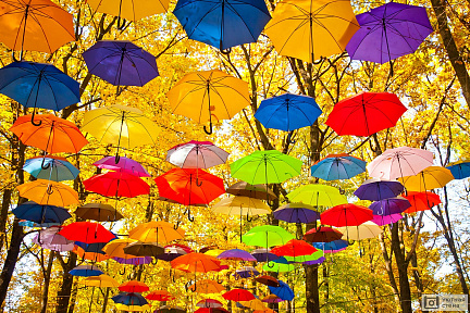 Разноцветные зонты в парке