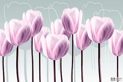 3D нежно-розовые тюльпаны