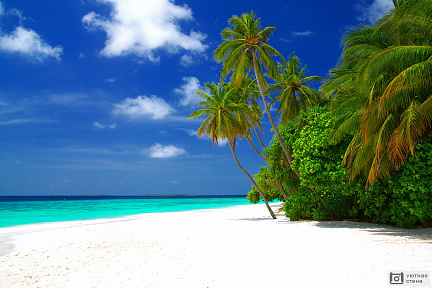 Пляж с белым песком. Мальдивы