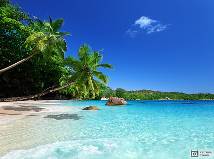 Тропический курорт с голубой водой
