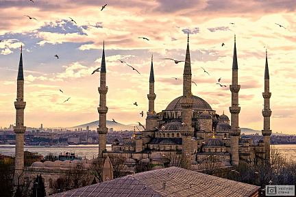 Мечеть в Стамбуле. Турция