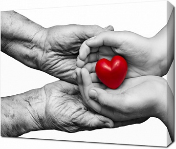 Красное сердце в руках ребенка и пожилого человека