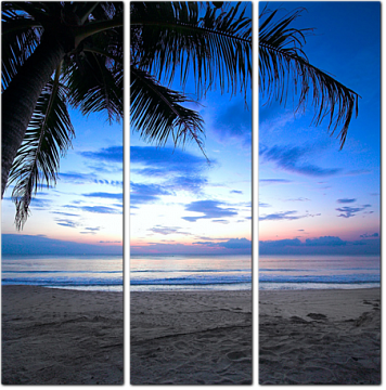 Пляж с пальмой на закате