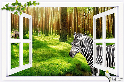3D окно в мир животных