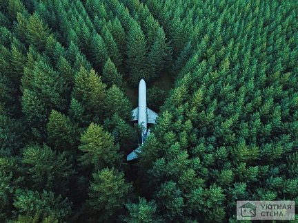 Самолет укрытый в зелени леса