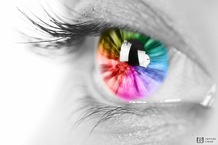 Разноцветный глаз крупным планом на черно-белом фото