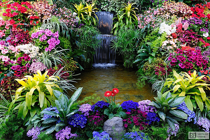 Райский сад с разноцветными цветами