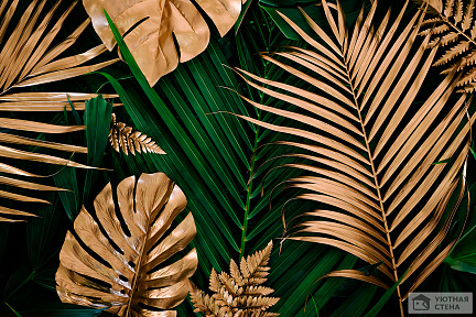 Золотистые и зеленые пальмовые и тропические листья