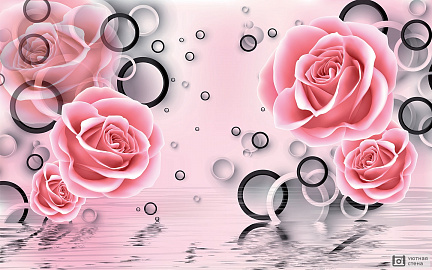 3D розы с кругами над водой