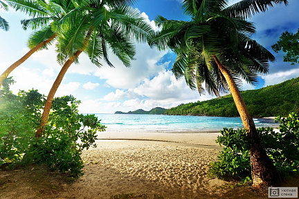 Пляж Такамака на Сейшельских островах