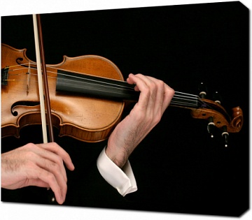 Скрипка в руках мастера