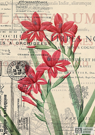 Винтажное изображение с красными цветами