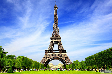 Фотообои Эйфелева башня. Париж. Франция