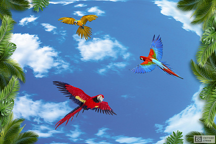3D Полёт попугаев