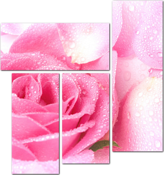 3D Розовые розы с каплями