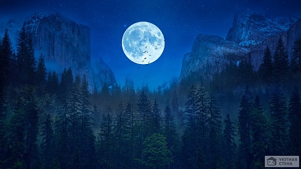 Ледяная луна над лесом