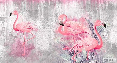 Фламинго на бетонном фоне