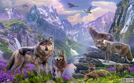 Волки в горах