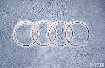 Логотип Audi крупным планом в инее