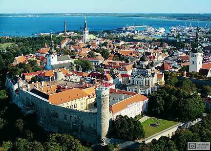 Вид на Таллин. Эстония