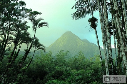 Зеленые горы в джунглях