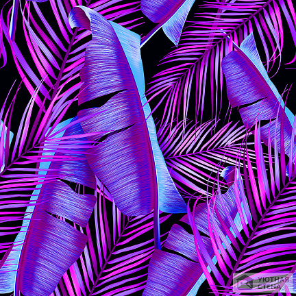 Фиолетовые листья тропиков