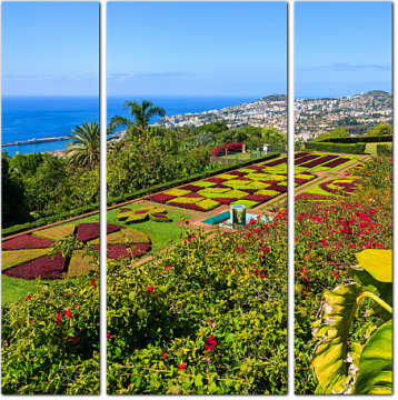 Ботанический сад в городе Фуншал. Остров Мадейра. Португалия