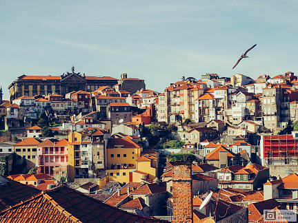 Фотообои Крыши домов города Порту. Португалия
