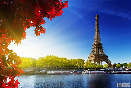 Фотообои Река Сена на фоне Эйфелевой башни. Париж. Франция