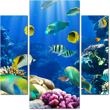 Рыбки плавают у кораллового рифа