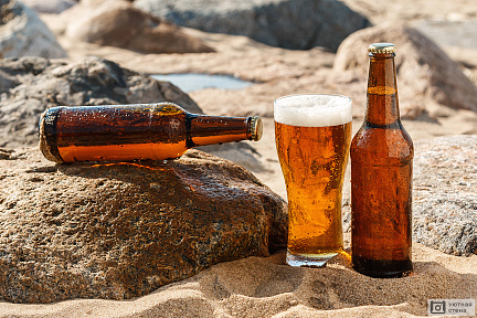 Пиво на каменном берегу