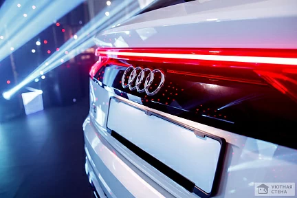 Audi Q8, задние красные огни