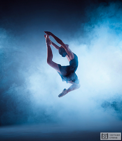Балерина в синем тумане