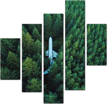 Самолет укрытый в зелени леса