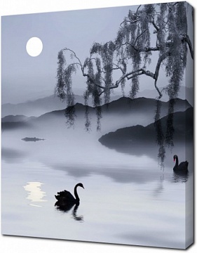 Свет луны над озером с лебедями