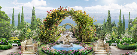 Цветущие арки в саду
