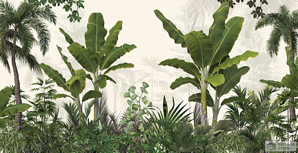 Множество тропических растений