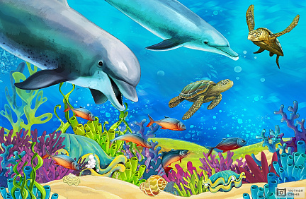 Коралловый риф с дельфинами