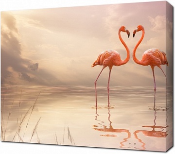 Пара неразлучных фламинго