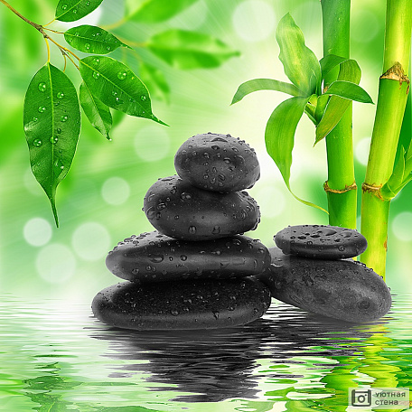 Черные камни и бамбук на воде