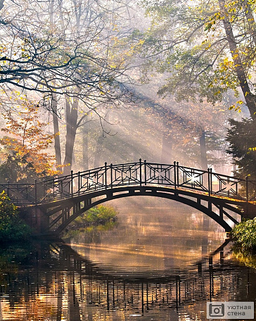 Старый мост в осеннем туманном парке