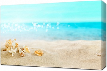 Горстка ракушек на пляже