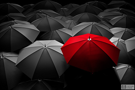 Бизнес-концепция лидера. Красный зонт выделен среди черных